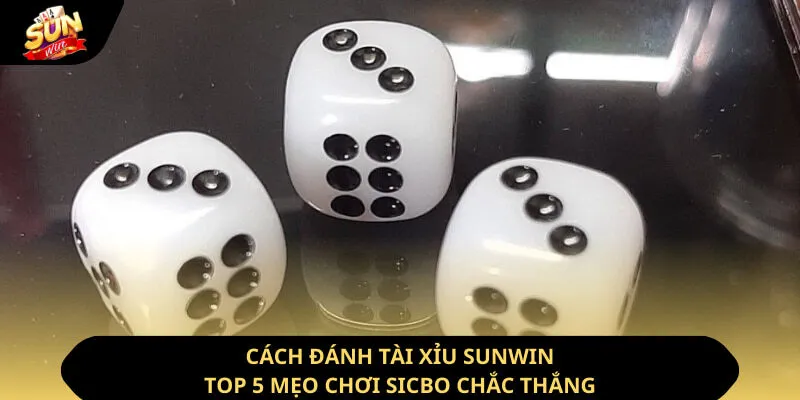 Cách Đánh Tài Xỉu Sunwin - Top 5 Mẹo Chơi Sicbo Chắc Thắng